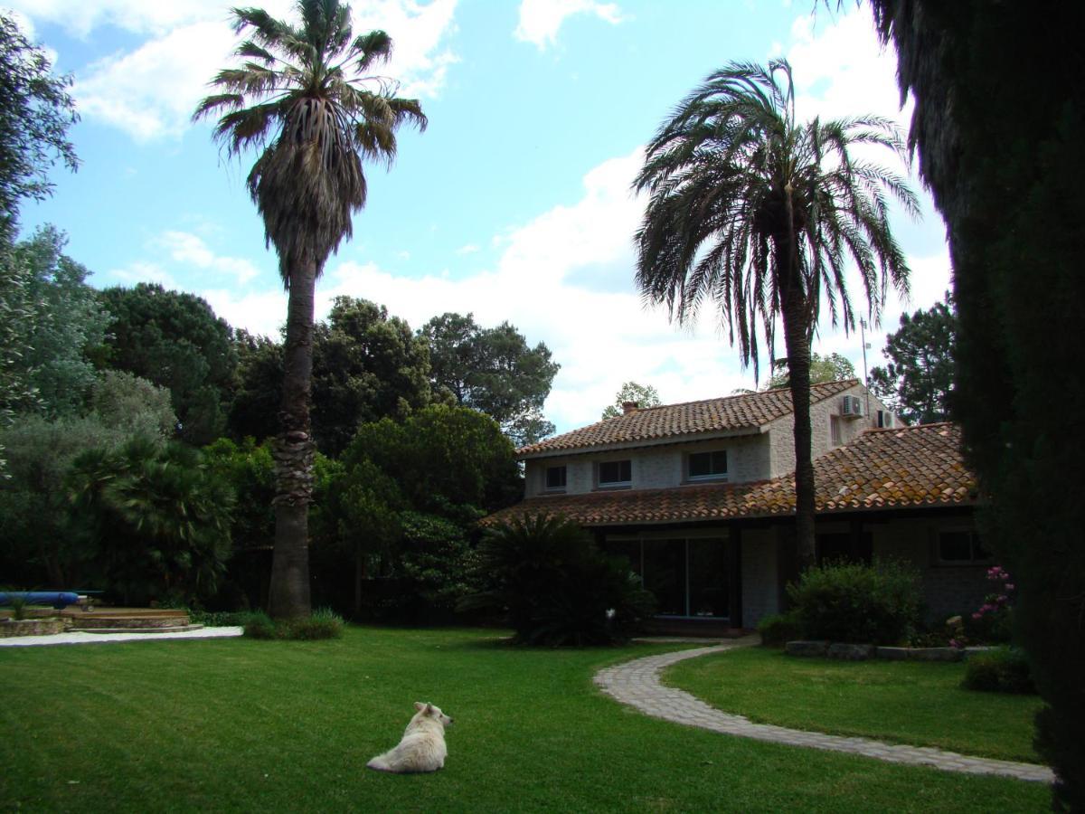 La Villa Saint Andre - Argeles Sur Mer Dış mekan fotoğraf